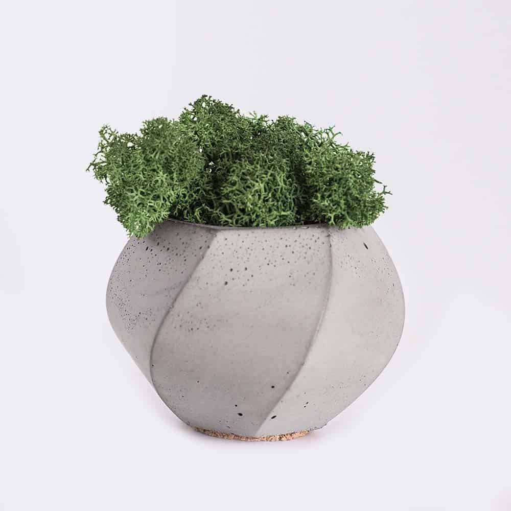 HOme Plant4 Free Img