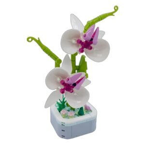 Store building blocks flowers – phalaenopsis